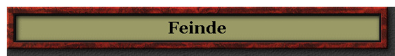 Feinde